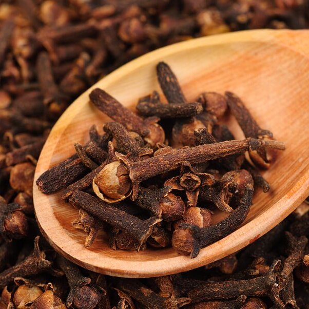 Clove Exporter in India