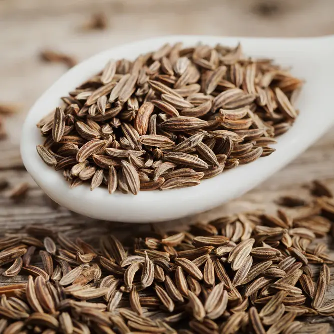 Cumin seed Exporter in India